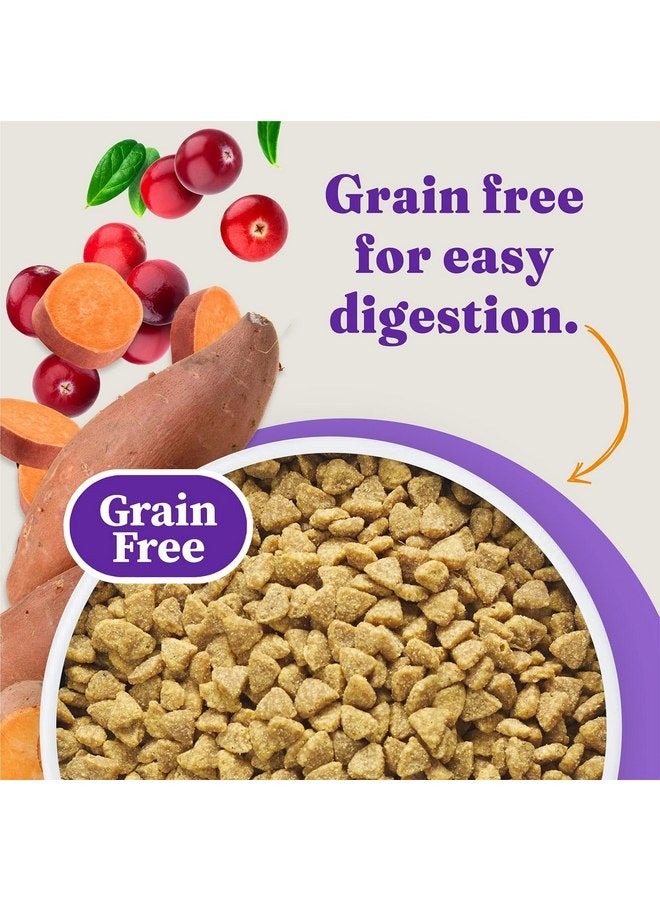Halo Holistic Indoor Cat Food Dry, Grain Free Cage-free Chicken Recipe for healthy weight support, Complete Digestive Health, Dry Cat Food Bag, Adult Formula, 10-lb Bag - Image 4