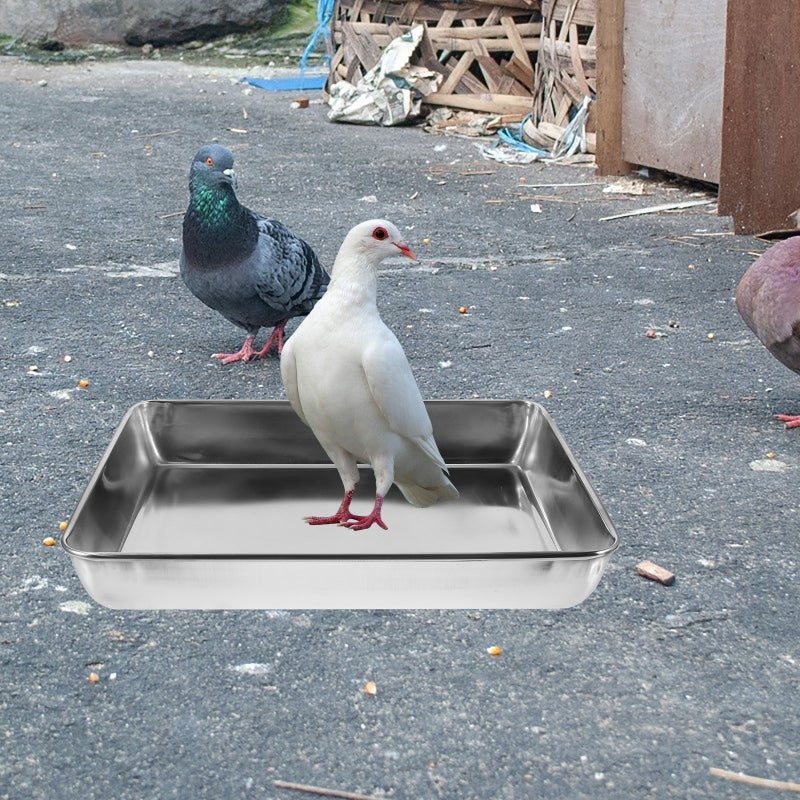 🚽 حوض حمام للحمام من الستانلس س ل م ن وآمن للاستحمام يناسب معظم الأقفاص - Image 1