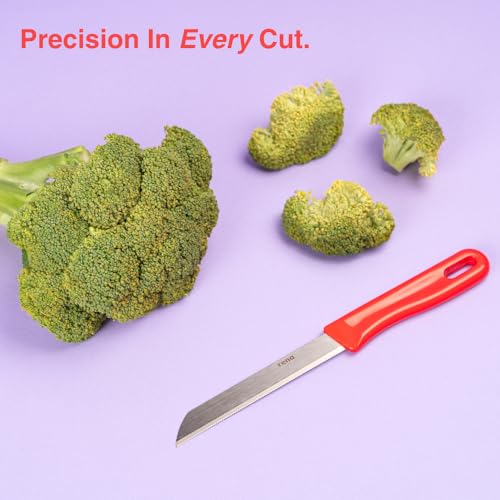 rena germany Rena Knife & Sharpener Combo, 90 mm and 110 mm Plain Knives with Adjustable Angle Knife Sharpener, Professional Stainless Steel Blades for Precision Cutting - Image 4