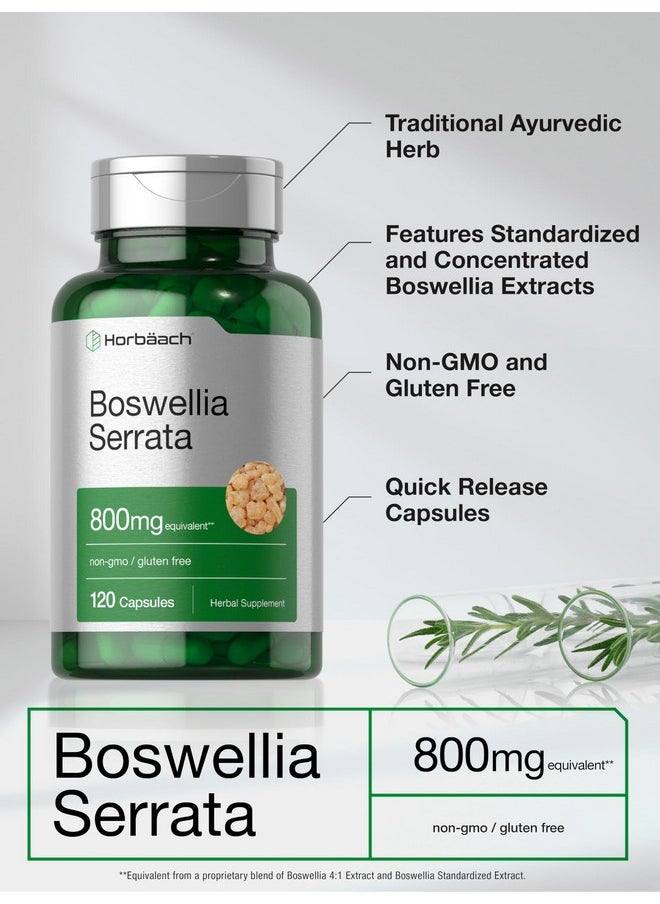 Horbaach Horbäach Boswellia Serrata Extract Capsules | 800mg | 120 Count | Herbal Supplement | Non GMO, Gluten Free  - Image 3
