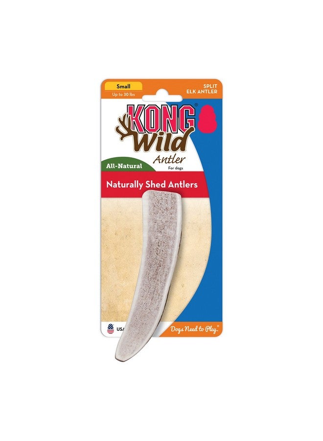 كونج - قرون الأيل البرية المنقسمة - مكافأة مضغ للكلاب تدوم طويلًا - للكلاب الصغيرة - Image 3