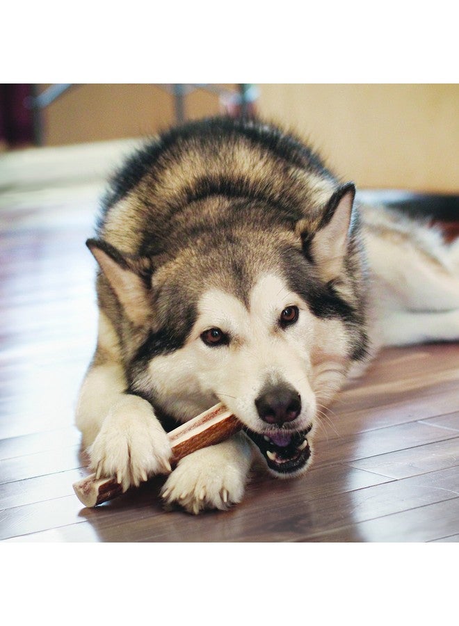 كونج - قرون الأيل البرية المنقسمة - مكافأة مضغ للكلاب تدوم طويلًا - للكلاب الصغيرة - Image 2