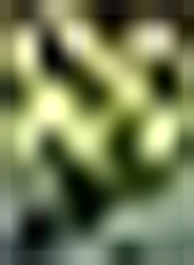 GGOOT 3pcs Gele Calla Lelie Bollen Huis Tuin Decoratie Instapmodel Zeldzame Rassen Geplant in Patches Vorm Landschap Calla Bollen - Image 1