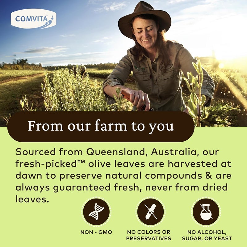 Comvita Olive Leaf Extract Health Supplement, Natural, 16.9 Fluid Ounce - Image 4