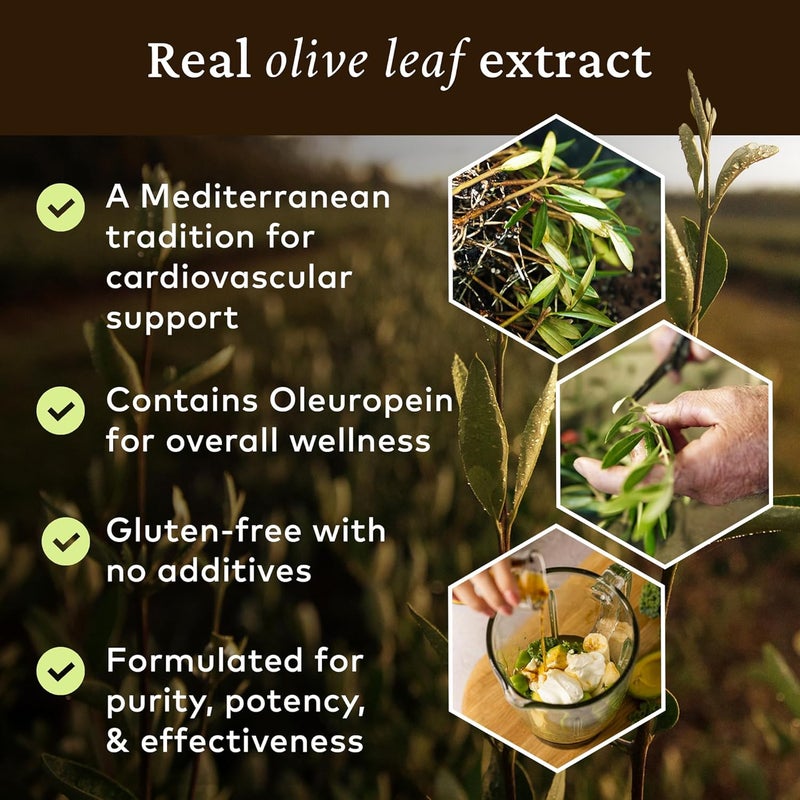 Comvita Olive Leaf Extract Health Supplement, Natural, 16.9 Fluid Ounce - Image 5