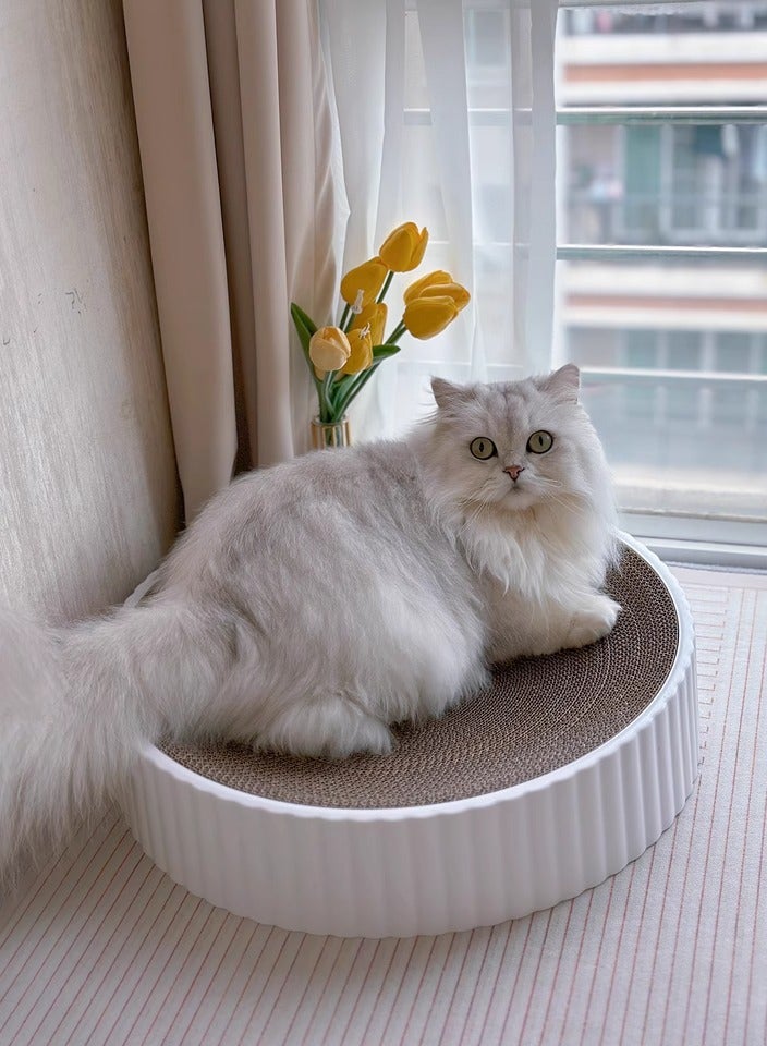 XiuWoo Round Cat Scratcher Board Cat Scratching Board Cat Cardboard Bed Pet Cats Sleeping Bed for Kitty, White  - Image 2