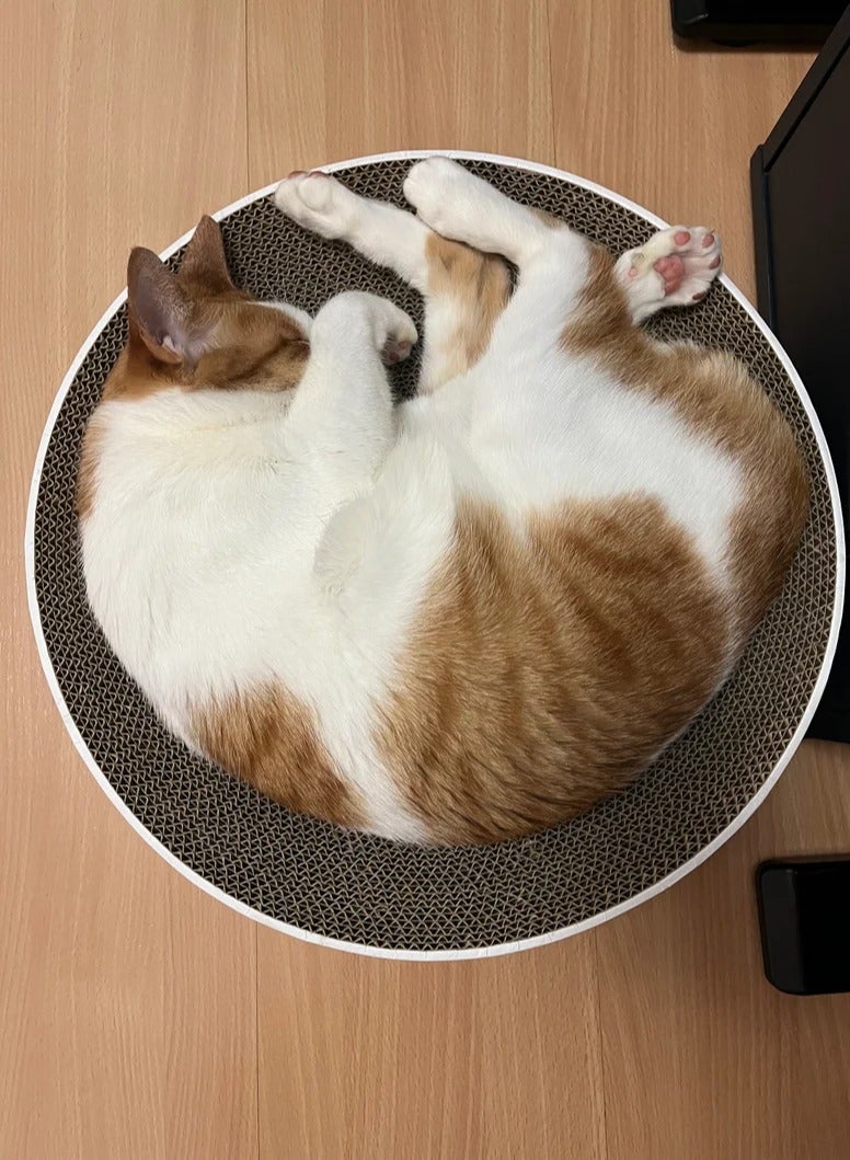 XiuWoo Round Cat Scratcher Board Cat Scratching Board Cat Cardboard Bed Pet Cats Sleeping Bed for Kitty, White  - Image 3