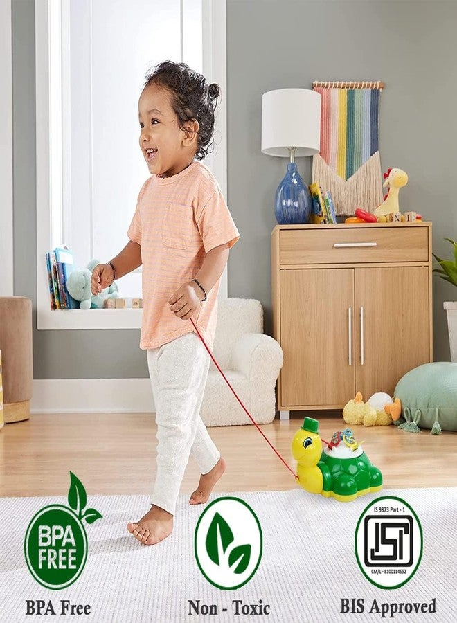 TOYIQ Turtle Butterfly Pull Along Toy for Ages 1 Year and Above Infants, Toddlers, and Preschool Babies| Multicolor - Image 3