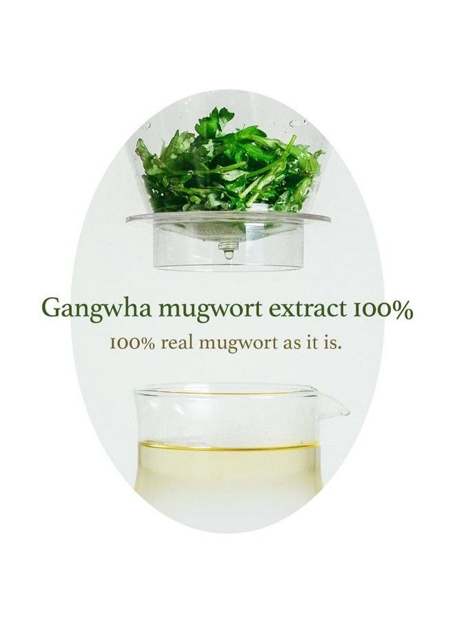 I'M FROM M] Miniatures Of Rice Toner Mugwort Essence Fig Boosting Essence (Mugwort)  - Image 5