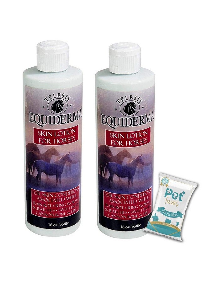EQUIDERMA (2 Pack) Horse Skin Lotion for Rain Rot, Ringworm, Cannon Bone Scurf with 10ct Pet Faves Pet Wipes - Image 1