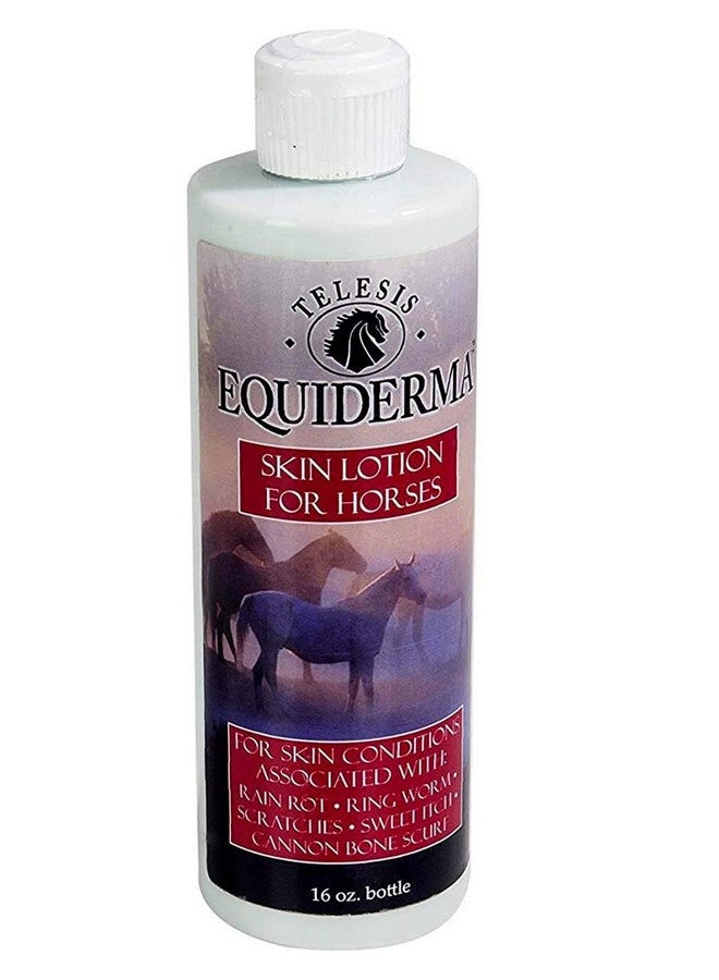 EQUIDERMA (2 Pack) Horse Skin Lotion for Rain Rot, Ringworm, Cannon Bone Scurf with 10ct Pet Faves Pet Wipes - Image 2