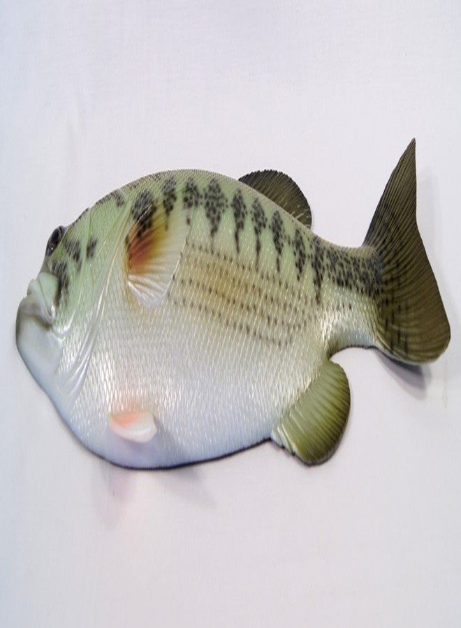 ال اكس لوحة جدارية مزخرفة مرسومة يدويًا على شكل سمكة باس كبيرة الفم، مقاس 18 بوصة - Image 2