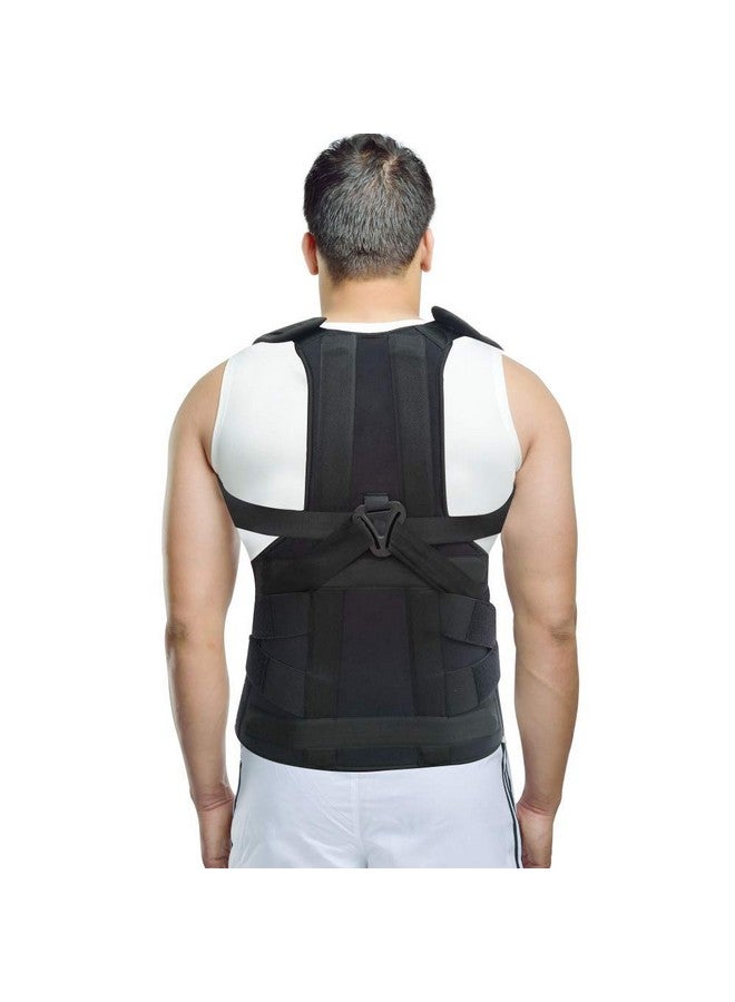 Dyna Taylor's Brace-Spine Support - Universal - Image 1