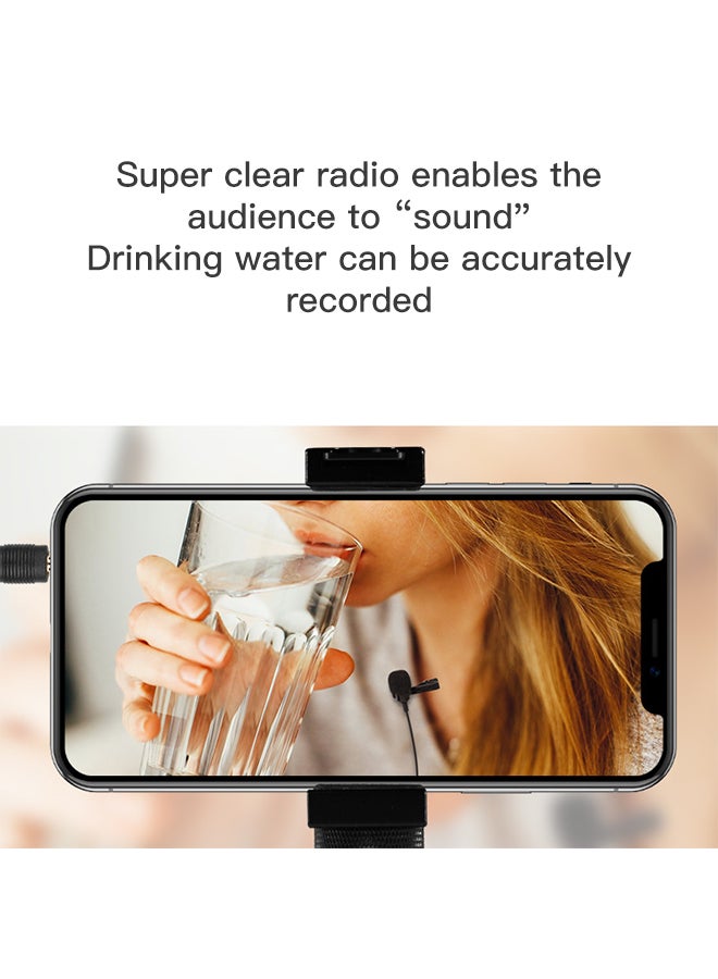 Sharpdo Lavalier Single-Driver Dual Recording Telephone Microphone - Image 2