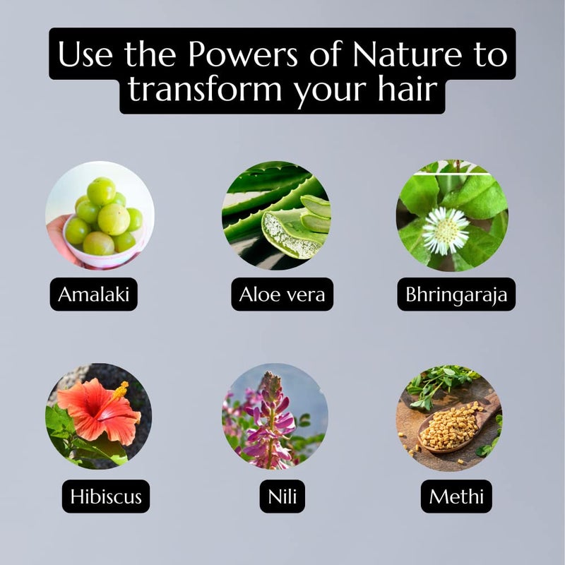 Atrimed Denz  Darc Herbal Therapeutic Shampoo  Protects The Natural Hair Colour and Lusture  Enriched with Hibiscus and Aloe vera  600ml  Pack of 3 - Image 3