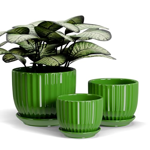 Ton Sin Ceramic Plant Pots,4"+5"+6" Inch,Green Flower Pots with Drainage Holes and Tray,Indoor Planters for Plants Pots,Home Office Decoration GIF for Plants,Succulent Pot Set of 3 - Image 1