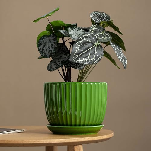 Ton Sin Ceramic Plant Pots,4"+5"+6" Inch,Green Flower Pots with Drainage Holes and Tray,Indoor Planters for Plants Pots,Home Office Decoration GIF for Plants,Succulent Pot Set of 3 - Image 2