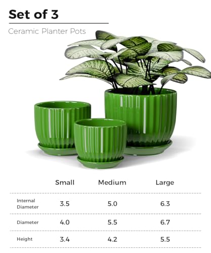 Ton Sin Ceramic Plant Pots,4"+5"+6" Inch,Green Flower Pots with Drainage Holes and Tray,Indoor Planters for Plants Pots,Home Office Decoration GIF for Plants,Succulent Pot Set of 3 - Image 3