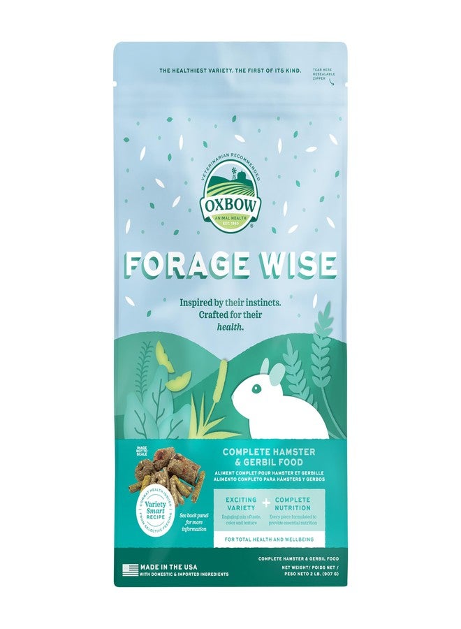 Oxbow Forage Wise Hamster & Gerbil Food, Vitamin Rich Healthy Daily Diet, Hamster Food, Veterinarian Formulated, Small Animal Pet Products, No Artificial Colors & Preservatives, Made in USA, 2 lbs - Image 1