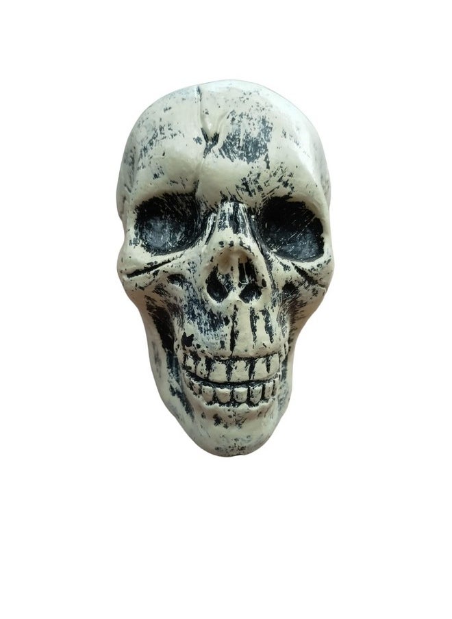 BookMyCostume BookMyCostume Plastic Small Skull Toy Halloween Ghost Showpiece Decoration Kids Adults Fancy Dress Costume Accessory Free Size White  - Image 1