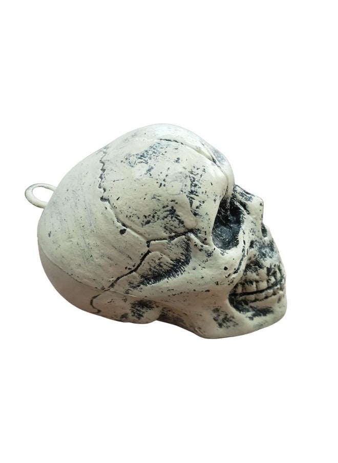 BookMyCostume BookMyCostume Plastic Small Skull Toy Halloween Ghost Showpiece Decoration Kids Adults Fancy Dress Costume Accessory Free Size White  - Image 4