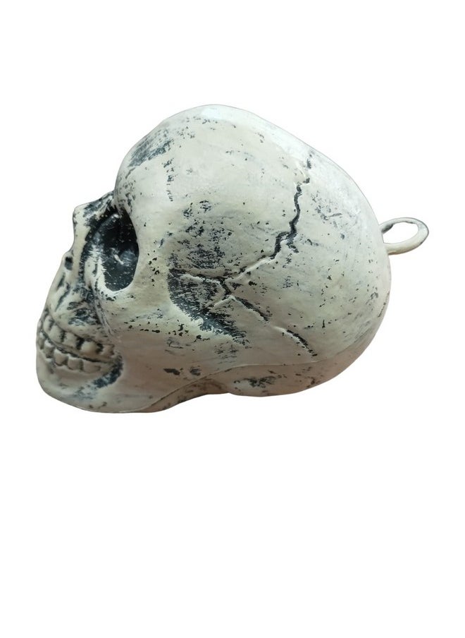 BookMyCostume BookMyCostume Plastic Small Skull Toy Halloween Ghost Showpiece Decoration Kids Adults Fancy Dress Costume Accessory Free Size White  - Image 2