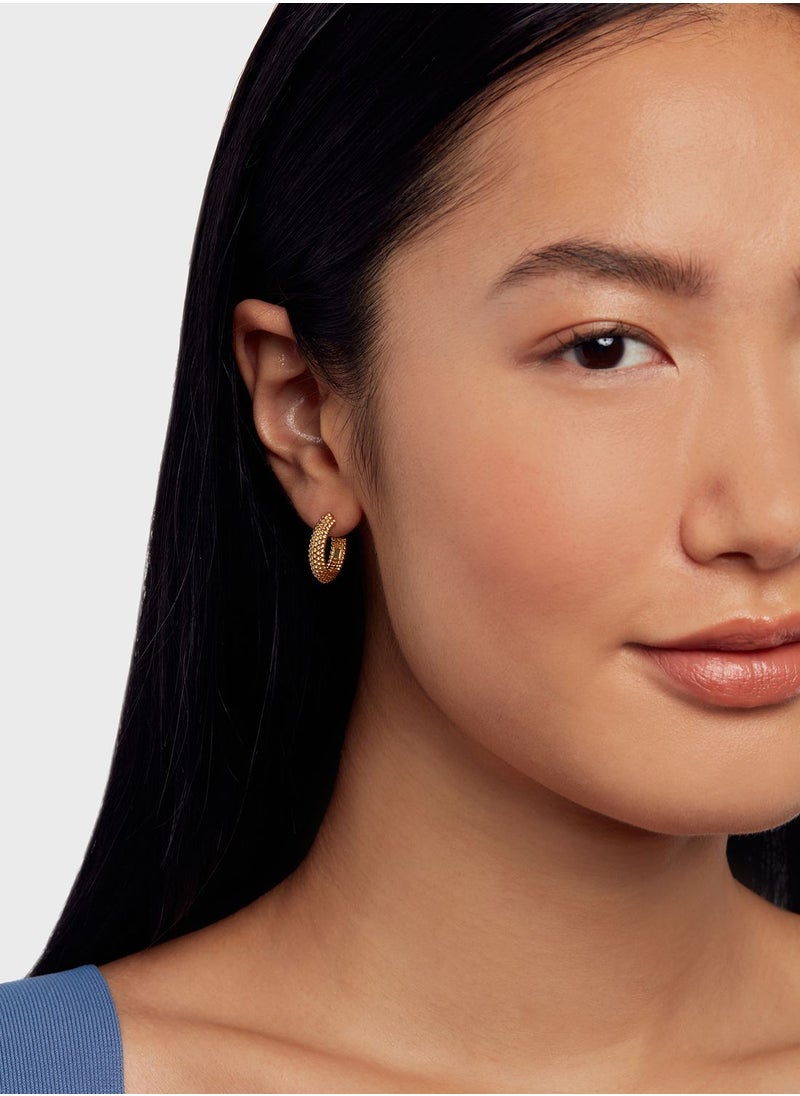 Ted Baker Dotetta Dotty Hoop Earrings  - Image 3