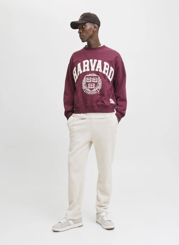 JACK & JONES  Casual Relaxed Fit Trousers for Men | Best Price UAE