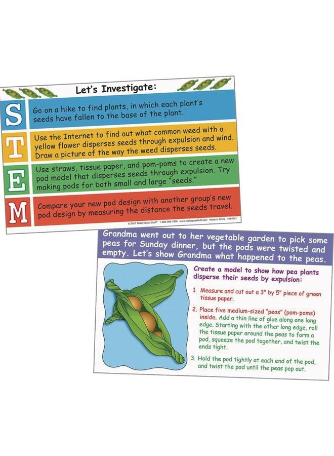 Really Good Stuff STEMtivity Class Kit Plant Pals - Image 4