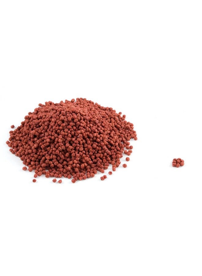 Mozaic Iguana Food | Food for Juvenile and Adult Iguanas | Small Red Pellet (1/8") | Complete Formulated Diet (14 Ounce (Pack of 1)) - Image 4