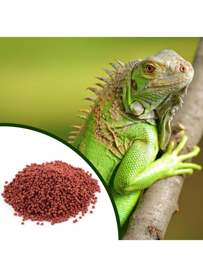Mozaic Iguana Food | Food for Juvenile and Adult Iguanas | Small Red Pellet (1/8") | Complete Formulated Diet (14 Ounce (Pack of 1)) - Image 3