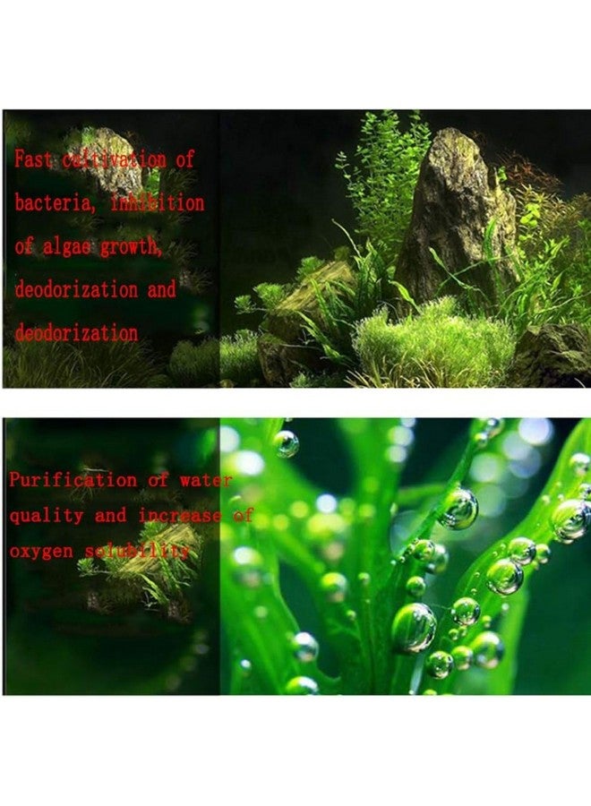 وسائط فلتر حوض السمك 250 جرام، حلقة سيراميكية نصف بيضاء عالية المسامية مع حقيبة شبكية مجانية، مناسبة للمياه العذبة والمياه المالحة من Petzlifeworld - Image 5