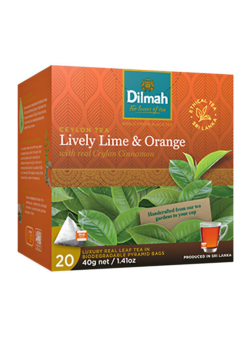 Inspiration Lively Lime & Orange - 20 Luxury Leaf Tea Bags - pzsku/ZF1A5D1B43A21596C5DBAZ/45/_/1705997619/c37036a5-f555-4bcc-9f8b-b4adb6a3c650