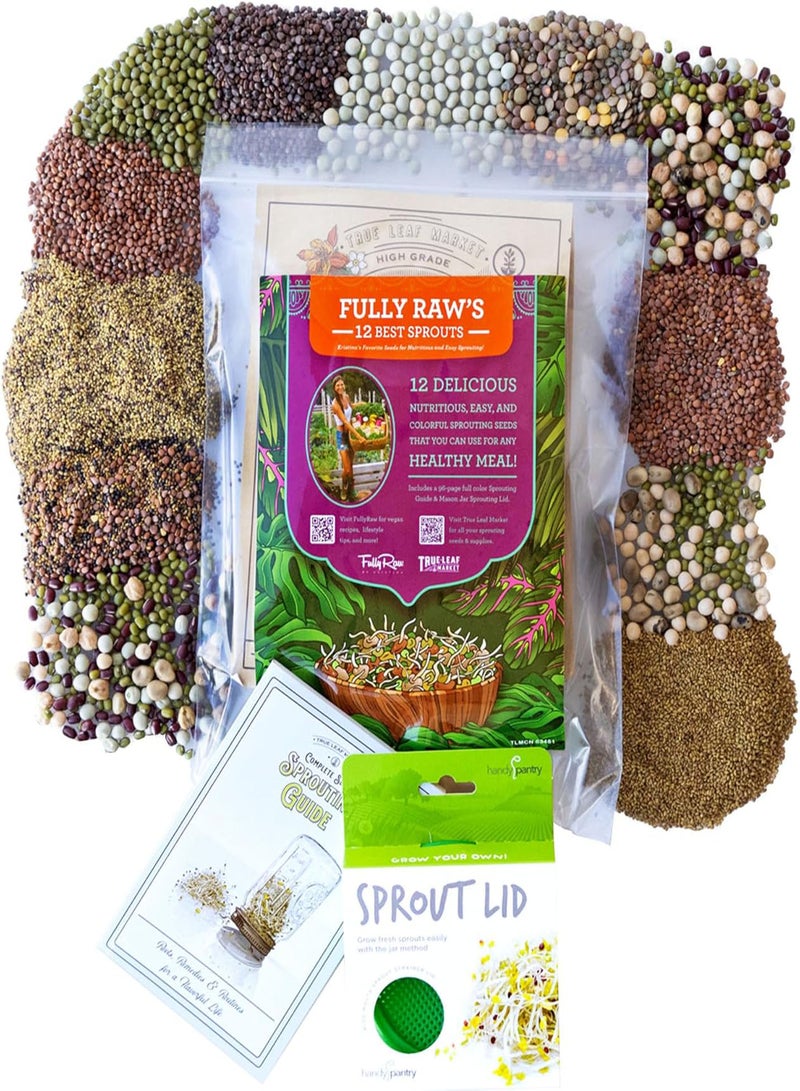 GGOOT 12 Variety Pack Organic Sprouting Seeds - Fully Raw Kristina's Sprouts Growing Kit with Sprouting Lid & Book - Alfalfa Seeds, Mung Bean, Radish, Clover Seed, Salad Mix, Pea, Health - Image 5