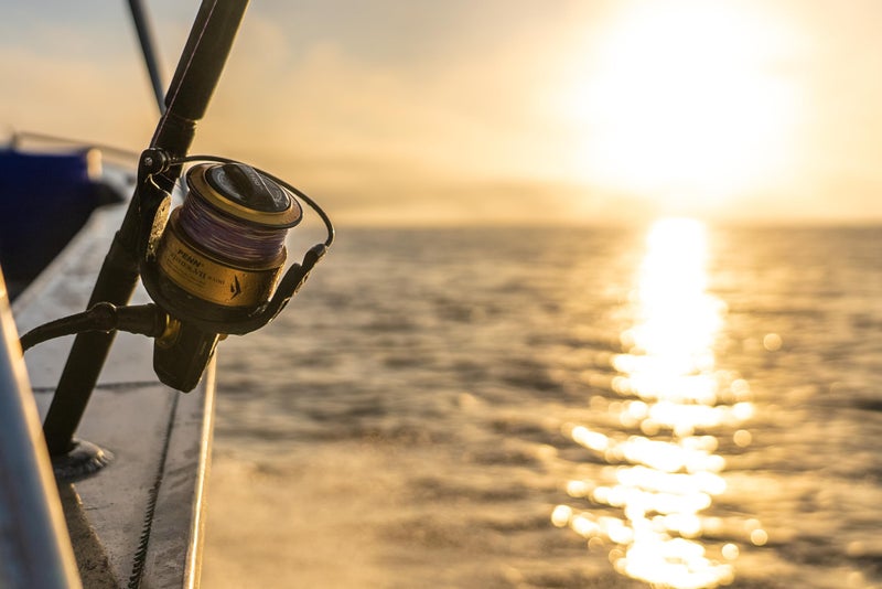 PENN Spinfisher VII 4500 Saltwater Spinning Reel, Right/Left Handle Position, IPX5 Seal, HT-100 Front Drag, Superline Spool, Precise CNC Gear Technology - Image 5