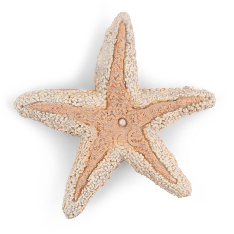 Papo - hand-painted - figurine - Marine Life - Starfish-56050 - Collectible - For Children - Suitable for Boys and Girls - From 3 years old - Image 3
