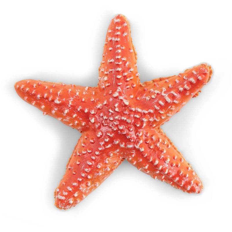 Papo - hand-painted - figurine - Marine Life - Starfish-56050 - Collectible - For Children - Suitable for Boys and Girls - From 3 years old - Image 1