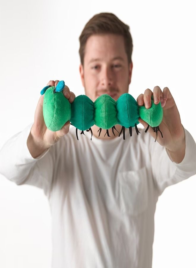Musical Toy Caterpillar  - Image 3