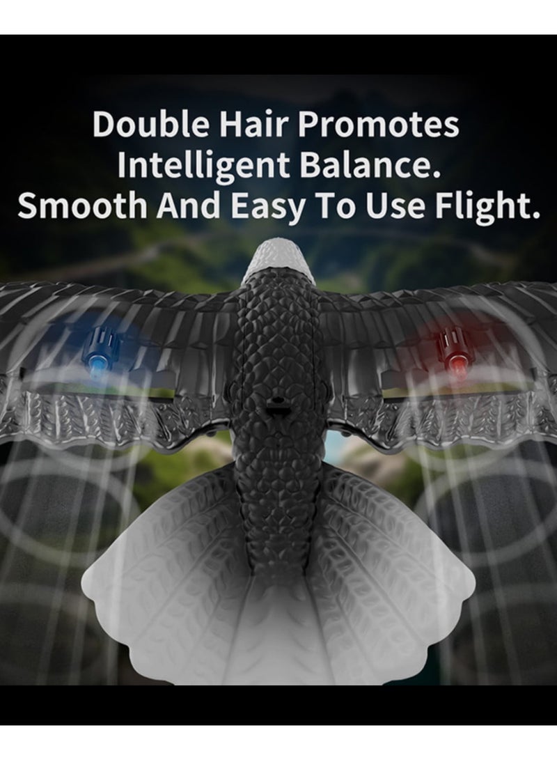 DIGI CORE RC Plane, Remote Control Eagle Plane, RTF Airplane, 2.4GHZ 2CH Flying Bird With Batteries & Propeller 6-axis Gyro Stabilizer, Easy to Fly Aircraft Remote Control For Beginners Adults Kids Boys HW-40 - Image 2