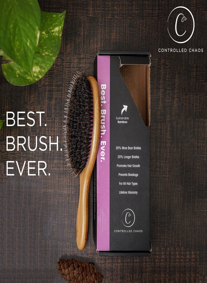 Controlled Chaos Boar Bristle Hair Brush-Wooden Bamboo Hair Brush for Women & Men, Detangling Brush for Any Hair Type-Eco Friendly Curly Hair Brush - Image 5