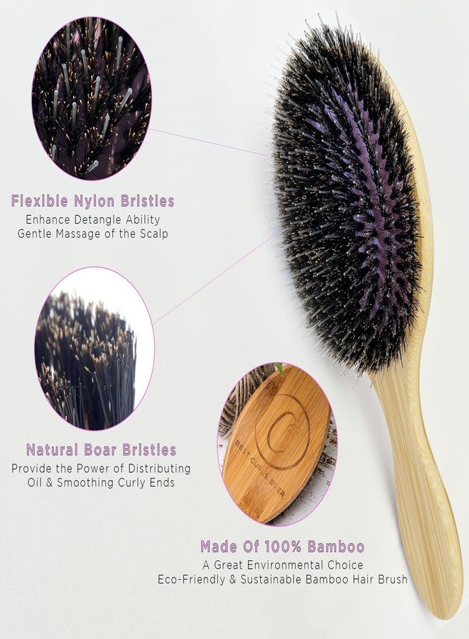 Controlled Chaos Boar Bristle Hair Brush-Wooden Bamboo Hair Brush for Women & Men, Detangling Brush for Any Hair Type-Eco Friendly Curly Hair Brush - Image 3
