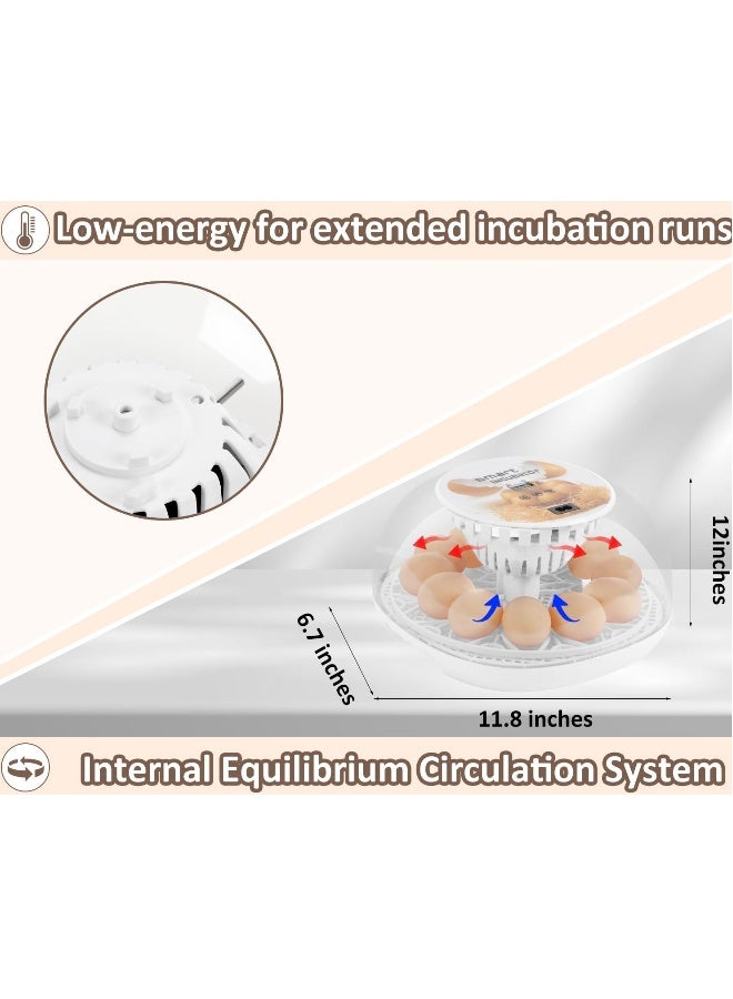 Generic 12 Egg Incubator, Smart Egg Incubator with Automatic Egg Turning, Automatic Humidity Refill and Automatic Temperature Control, Incubator with Temperature Display for Chicken/Duck/Quail/Goose  - Image 4