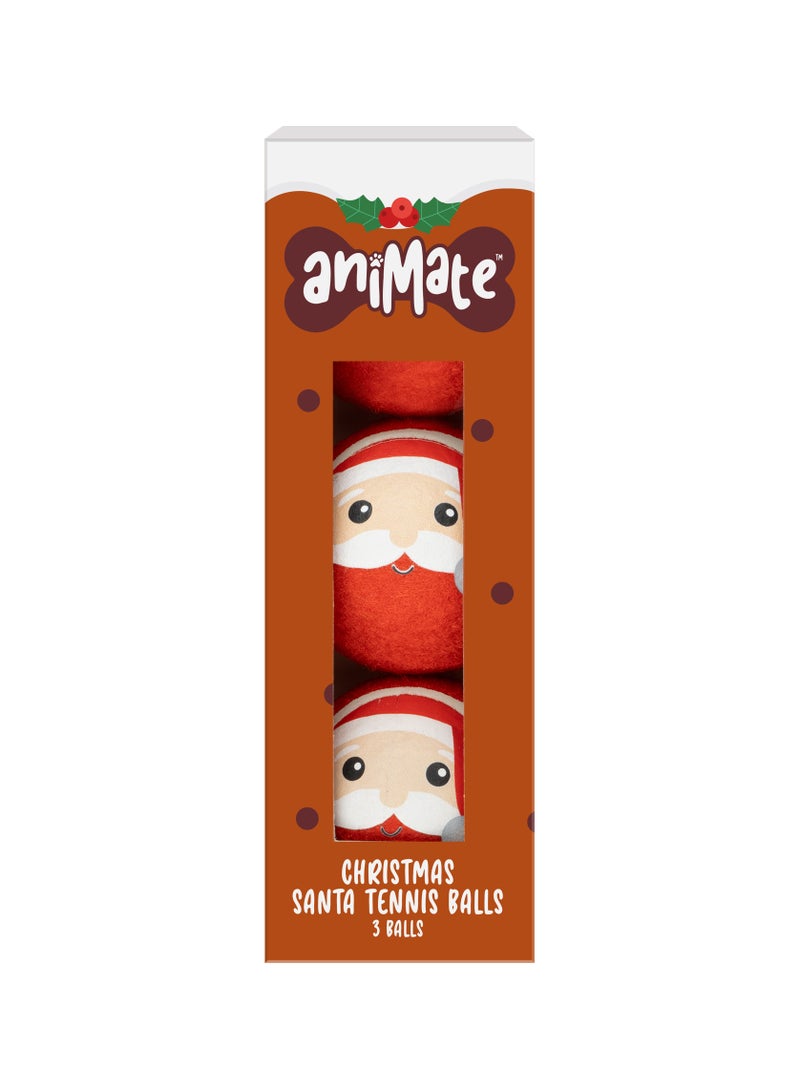 Webbox Tennis Ball Gift Set Santa