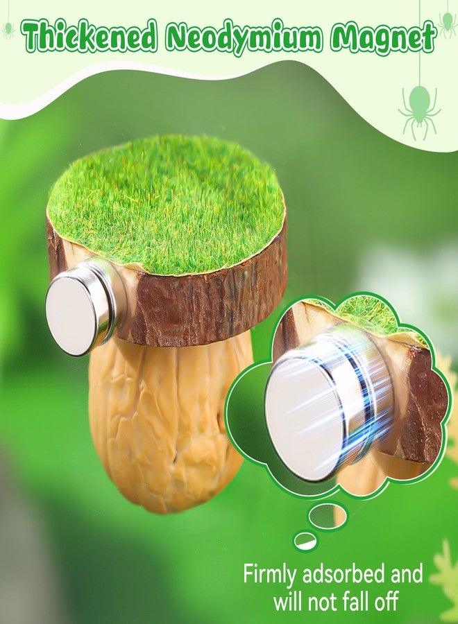 Feekoon 2 Pcs Jumping Spider Hideout with Magnets, Handmade Jumping Spider Accessories, Cute Natural Walnut Hide for Tarantulas, Geckos, Magnetic Climbing Platform for Small Animals Enclosure/Habitat - Image 5