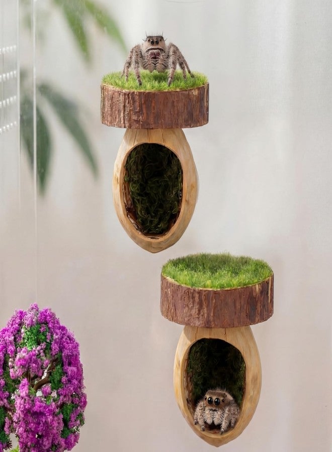 Feekoon 2 Pcs Jumping Spider Hideout with Magnets, Handmade Jumping Spider Accessories, Cute Natural Walnut Hide for Tarantulas, Geckos, Magnetic Climbing Platform for Small Animals Enclosure/Habitat - Image 1