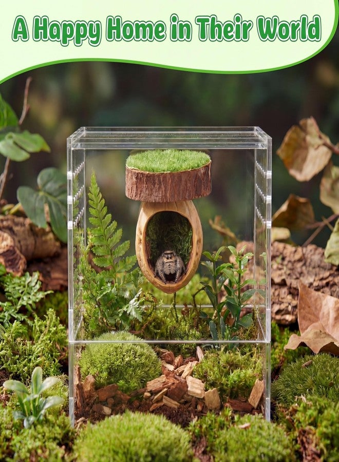 Feekoon 2 Pcs Jumping Spider Hideout with Magnets, Handmade Jumping Spider Accessories, Cute Natural Walnut Hide for Tarantulas, Geckos, Magnetic Climbing Platform for Small Animals Enclosure/Habitat - Image 2