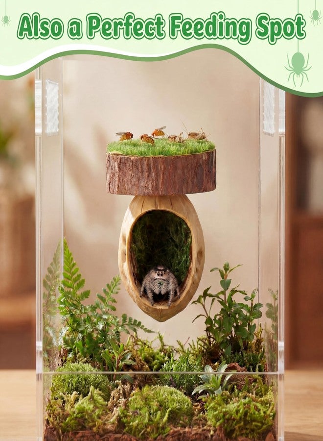 Feekoon 2 Pcs Jumping Spider Hideout with Magnets, Handmade Jumping Spider Accessories, Cute Natural Walnut Hide for Tarantulas, Geckos, Magnetic Climbing Platform for Small Animals Enclosure/Habitat - Image 4