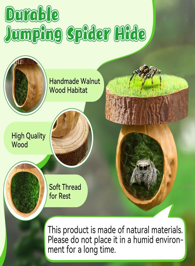 Feekoon 2 Pcs Jumping Spider Hideout with Magnets, Handmade Jumping Spider Accessories, Cute Natural Walnut Hide for Tarantulas, Geckos, Magnetic Climbing Platform for Small Animals Enclosure/Habitat - Image 3