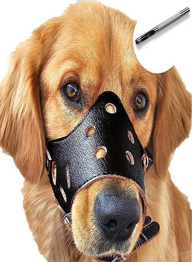 D&C PAWS Leather Dog Muzzle with Adjustable Strap and Buckle - Comfortable Mouth Guard for Grooming, Training, and Preventing Aggressive Chewing in Dogs and Puppies (X-Large) - Image 1