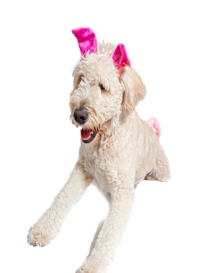 Midlee Dog Pig Halloween Headband Costume with Tail- Large - Image 3